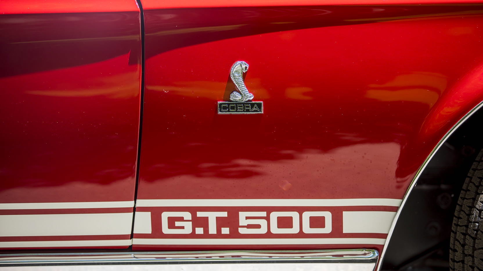 Shelby car