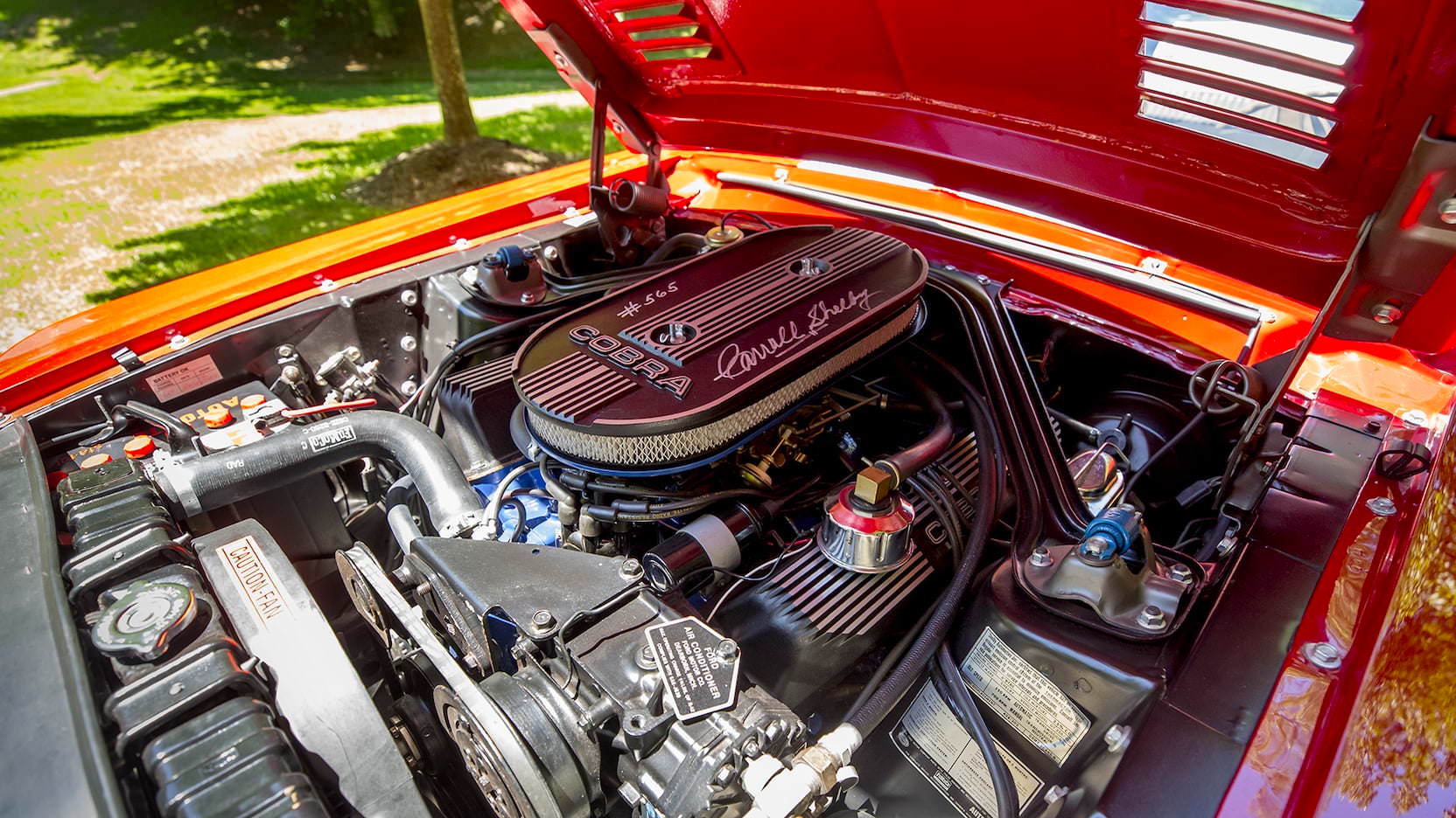 Shelby car