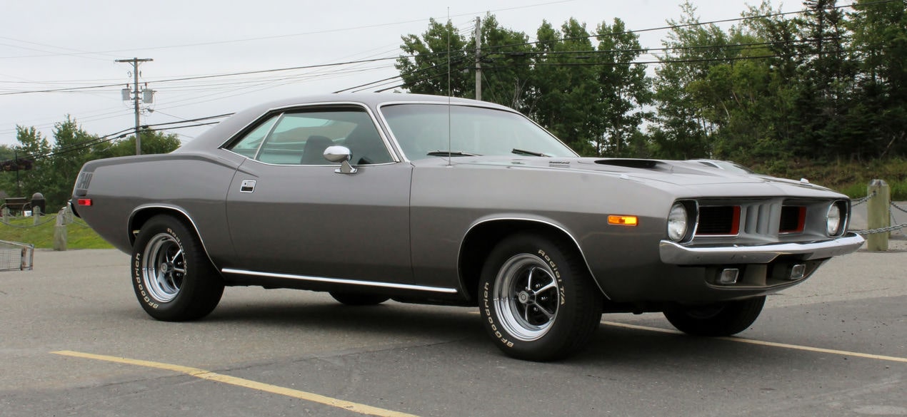 Barracuda Cinza