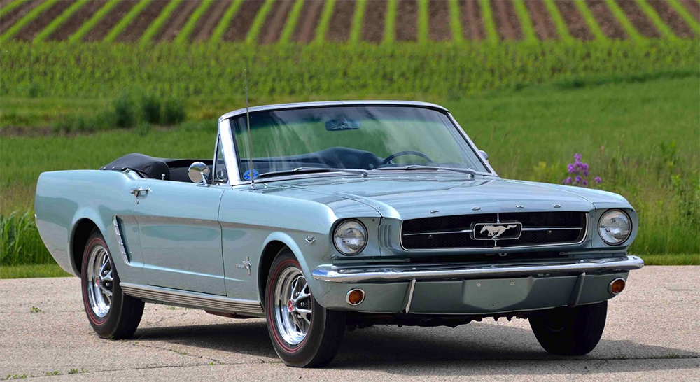 mustang com fundo de gramado