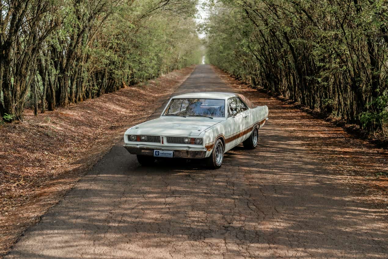 dodge charger