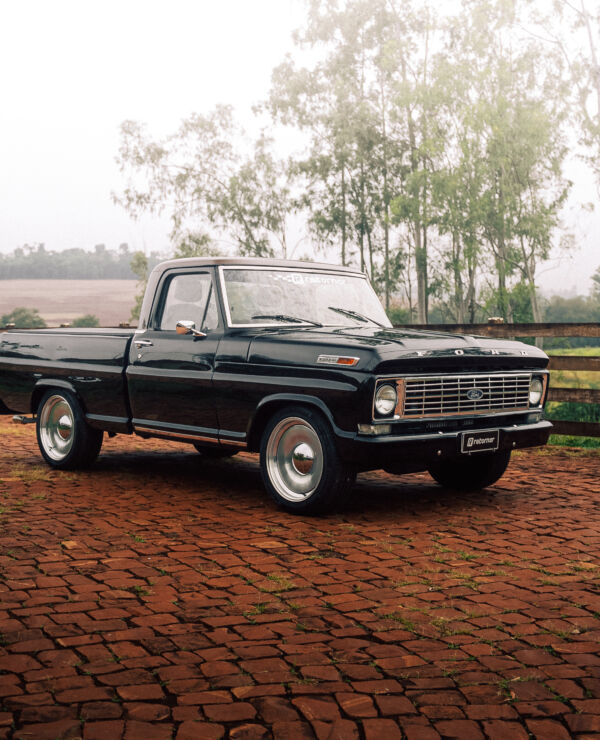 Ford F-100