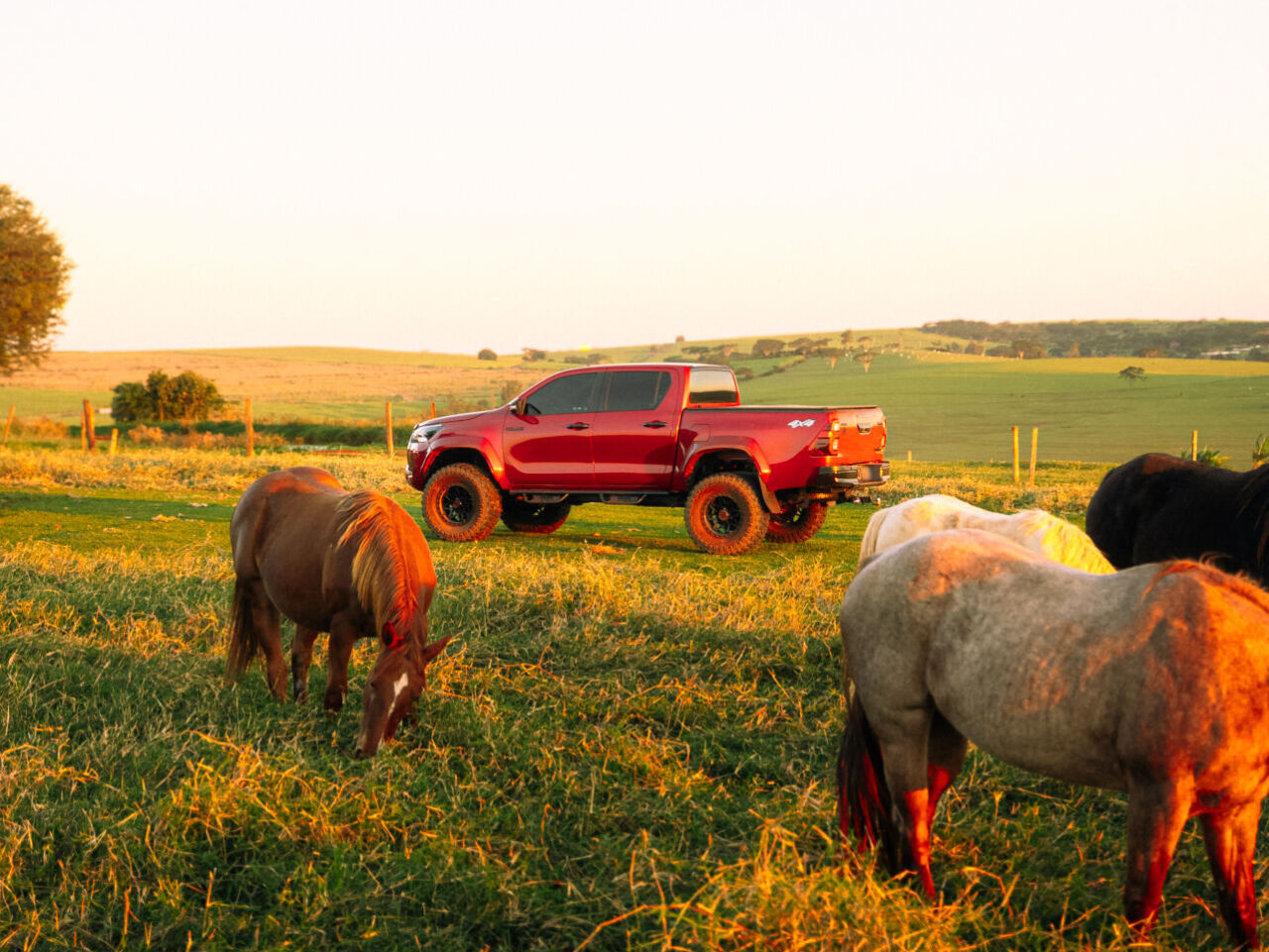 Toyota Hilux — Retornar