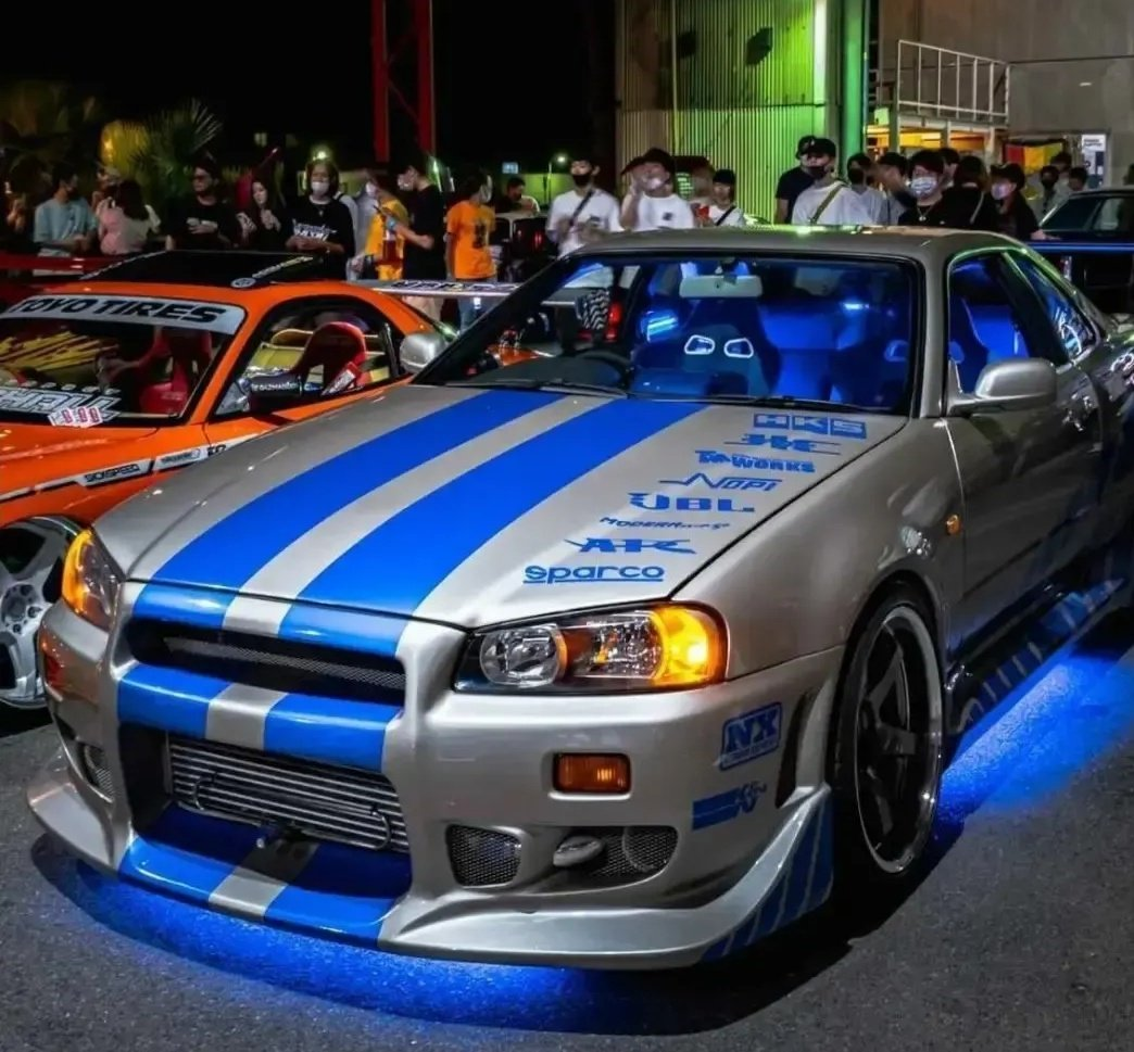 skyline de paul