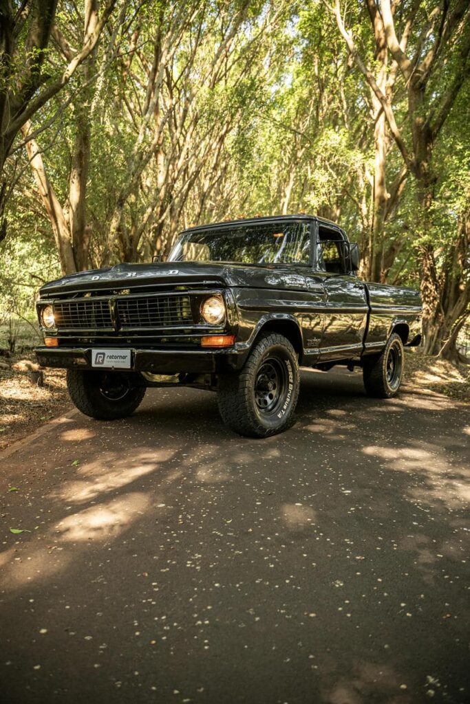 f1000 f-1000 ford