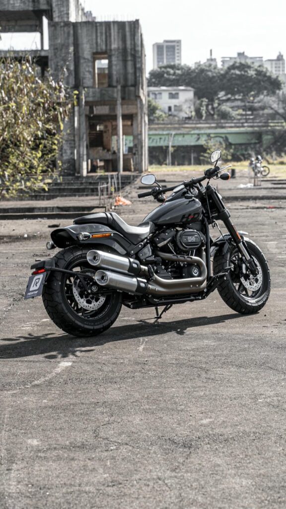 harley fat bob