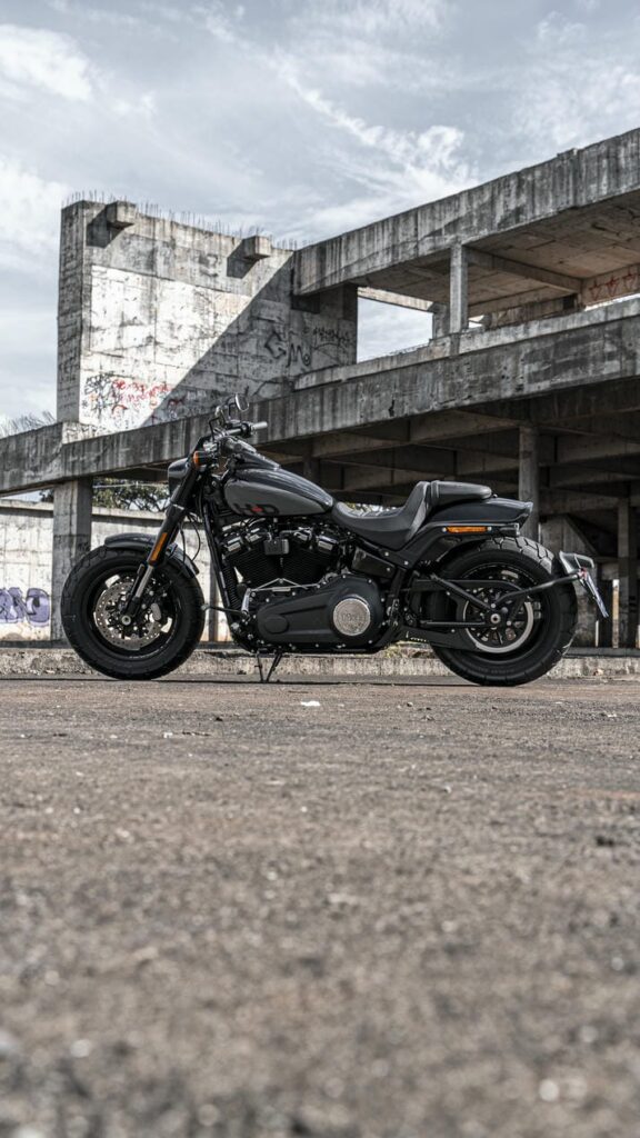 harley fat bob