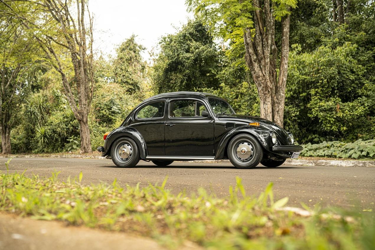 fusca